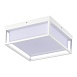 Светильник уличный потолочный ST-Luce белый/белый LED 1*20W 3000K/4000K/5000K SL9517.502.01 - фото
