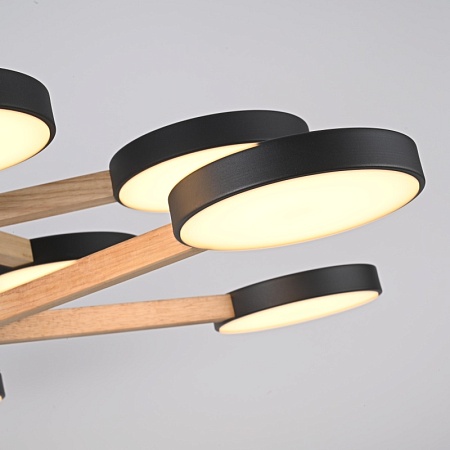 Подвесная Люстра Turna Dbl L10 Black Imperiumloft 229085-26 - фото