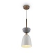 Подвесной светильник Maytoni Cloches MOD113PL-01W - фото