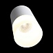 Светильник потолочный Белый LED 1*5W 3000K 390Lm Ra>80 120° D64xH110 170-240V ST100.502.05 - фото