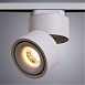 Трековый светильник ARTE LAMP A7716PL-1WH - фото