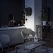 10178 Black Настенный светильник LOFT IT Gorilla - фото