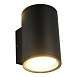 Светильник уличный настенный ST-Luce черный GX53 2*9W SL9007.401.02 - фото