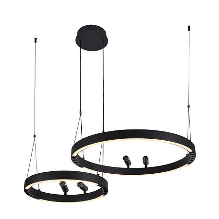 Подвесная люстра F-Promo 4474-2P - фото