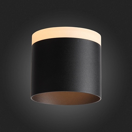 Светильник потолочный Черный LED 1*12W 3000K 936Lm Ra>80 120° IP20 D100xH90 170-240V ST102.402.12 - фото
