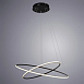 Подвесная люстра Arte Lamp RAPID A2500SP-2BK - фото