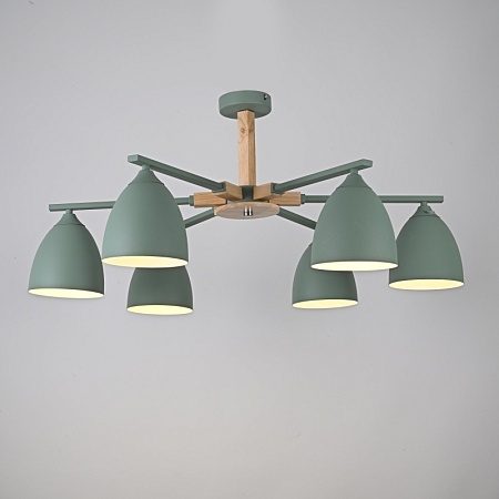 Потолочная Люстра Noa 6 Mint Imperiumloft Imperiumloft 183467-26 - фото