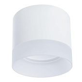 Точечный накладной светильник Arte Lamp CASTOR A5554PL-1WH