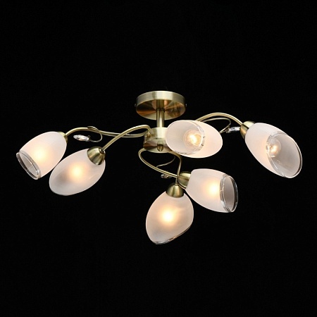 Люстра MW-Light Моника 372014006 - фото