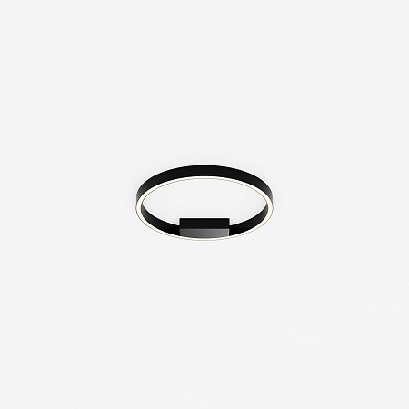 Потолочный светильник Maytoni Rim MOD058CL-L25BK - фото