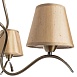 Потолочная люстра ARTE LAMP A6569PL-3AB - фото