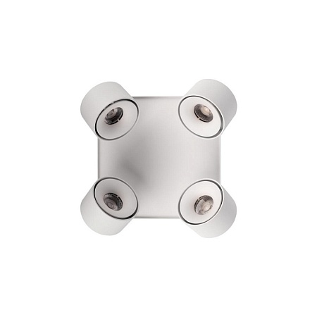 10326 White Накладной светильник LOFT IT Case - фото