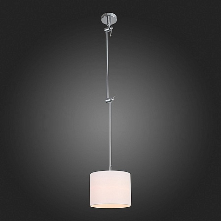 Светильник потолочный ST-Luce Хром/Белый E27 1*60W (из 2-х коробок) SL460.102.01 - фото