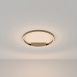 Потолочный светильник Maytoni Rim MOD058CL-L35BS3K - фото