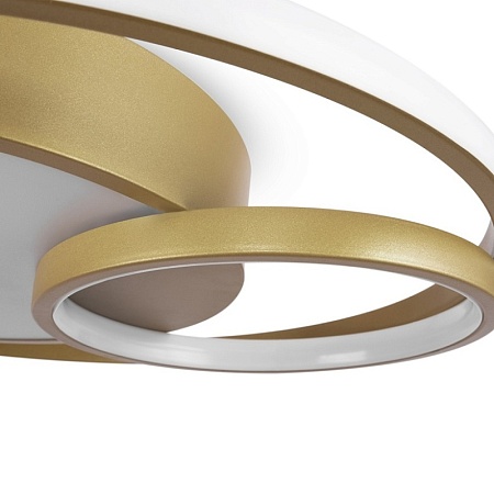 Потолочный светильник Freya Nation FR10028CL-L80G - фото