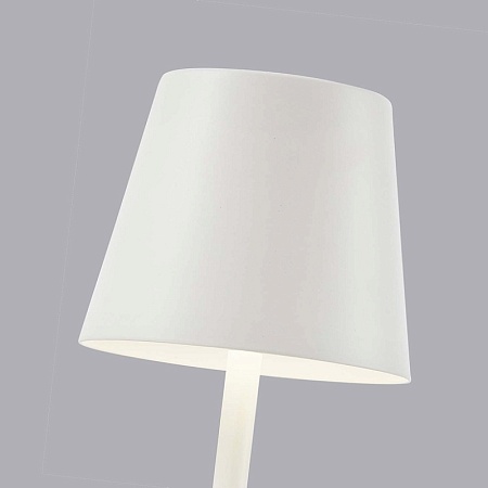 Настольная лампа F-Promo 4614-1T - фото