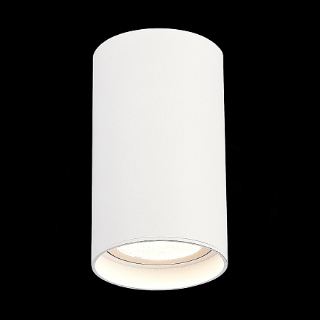 Светильник потолочный Белый LED 1*20W 4000K 1 600Lm Ra>90 60° IP44 D95xH150 220-265V ST157.542.20 - фото