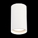 Светильник потолочный Белый LED 1*20W 4000K 1 600Lm Ra>90 60° IP44 D95xH150 220-265V ST157.542.20 - фото