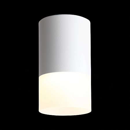Светильник потолочный Белый LED 1*5W 3000K 390Lm Ra>80 120° D64xH110 170-240V ST100.502.05 - фото