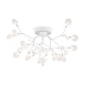 Потолочный светильник Freya Florencia FR5049CL-27W1 - фото