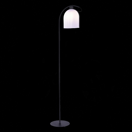Торшер ST-Luce Черный/Белый E27 LED 1*7W SL1302.405.01 - фото