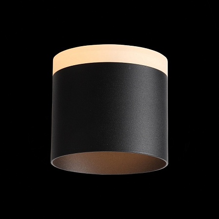 Светильник потолочный Черный LED 1*12W 3000K 936Lm Ra>80 120° IP20 D100xH90 170-240V ST102.402.12 - фото