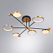 Потолочная люстра Arte Lamp HOLLY A1364PL-6PB - фото