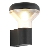 Светильник настенный ST-Luce темно-серый/прозрачный LED 1*6W 3000K SL9541.701.01