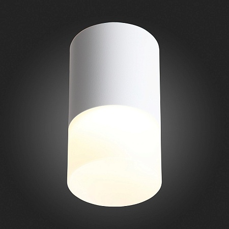 Светильник потолочный Белый LED 1*5W 3000K 390Lm Ra>80 120° D64xH110 170-240V ST100.502.05 - фото