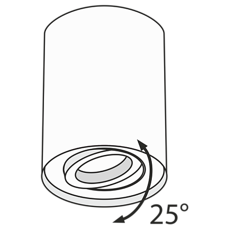 Потолочный светильник Technical Alfa C016CL-01S - фото