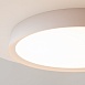 Потолочный светильник Maytoni MOD426CL-L32WK - фото