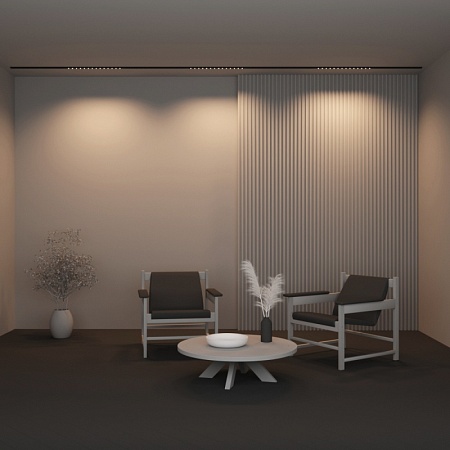 Трековый светильник Technical Points  TR174-1-24WTW-M-B - фото