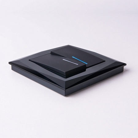 Выключатель двухклавишный с подсветкой черный матовый WL08-SW-2G-LED - фото