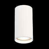 Светильник потолочный Белый LED 1*15W 4000K 1 200Lm Ra&gt;90 60° IP44 D75xH140 220-265V ST157.542.15