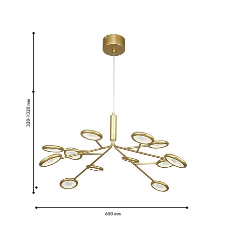 Подвесная/потолочная люстра F-Promo 4253-12P - фото