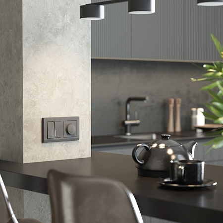 Выключатель двухклавишный с подсветкой (графит матовый) W1120164 - фото