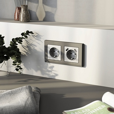 Розетка с заземлением (серебряный матовый) W1171065 - фото