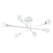 Потолочная люстра Arte Lamp ALASTOR A5435PL-6WH - фото