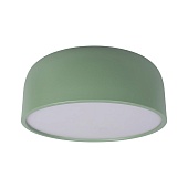 10201/350 Green Потолочный светильник LOFT IT Axel