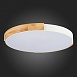 Светильник потолочный Белый, Светлое дерево/Белый LED 1*40W 3000K/4000K/6000K SLE201352-01 - фото