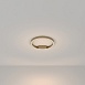 Потолочный светильник Maytoni Rim MOD058CL-L25BS3K - фото