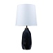Декоративная настольная лампа Arte Lamp RUKBAT A5046LT-1BK - фото