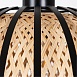 Подвесной светильник Arte Lamp WOODSTOCK A7071SP-1BK - фото
