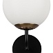 Настенный светильник (бра) Freya FR8016WL-01BBS1 - фото