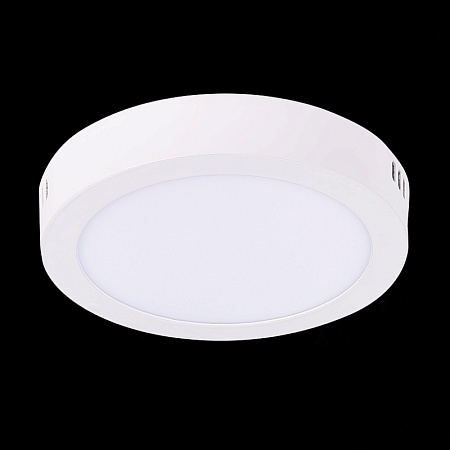 Светильник настенно-потолочный Белый LED 1*12W 3000K 715Lm Ra80 120° IP20 D160xH28 90-2 ST112.532.12 - фото