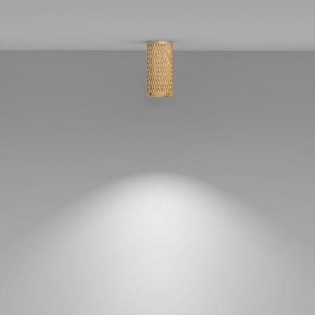 Потолочный светильник Technical Focus Design C036CL-01G - фото