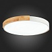 Светильник потолочный Белый, Светлое дерево/Белый LED 1*40W 3000K/4000K/6000K SLE201352-01 - фото