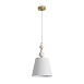 Подвесной светильник Freya FR2038PL-01BS - фото
