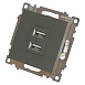 Розетка 2-местная USB (механизм), 250В, 2,1А, серия Катрин, графит, GLS10-7115-06 - фото