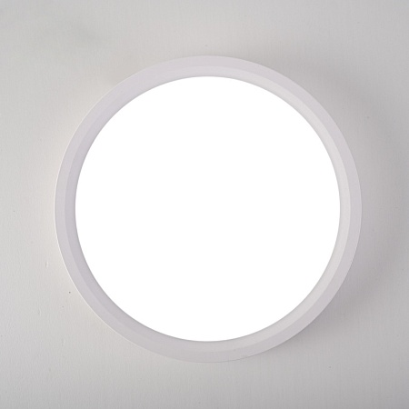 Потолочный Светильник Slim D18 Белый Imperiumloft 141008-26 - фото